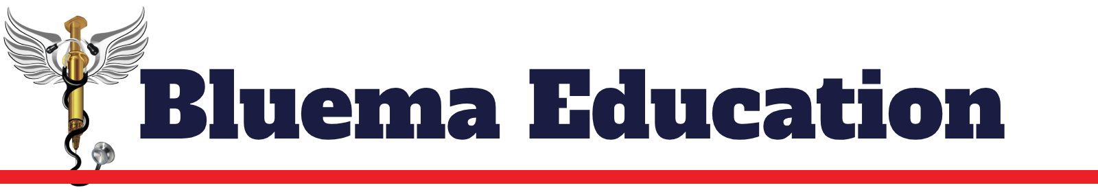 Bluema Educationlogo